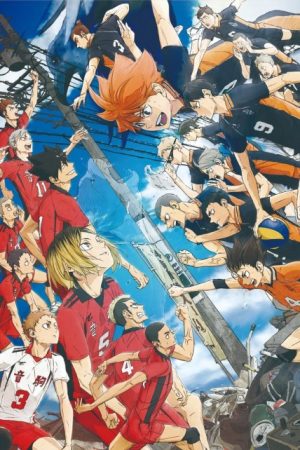 Haikyuu! Trận Chiến Bãi Phế Liệu (Haikyuu!!: Gomi Suteba no Kessen )